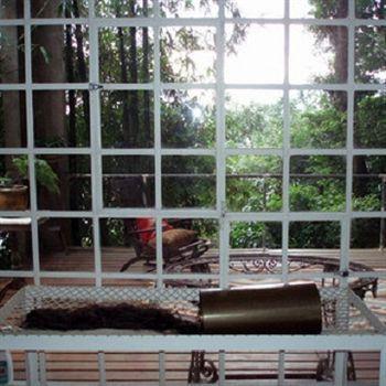 B&B Vitoria Regia Rio de Janeiro Exterior photo